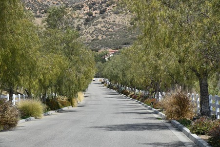 Enlarge photo 38