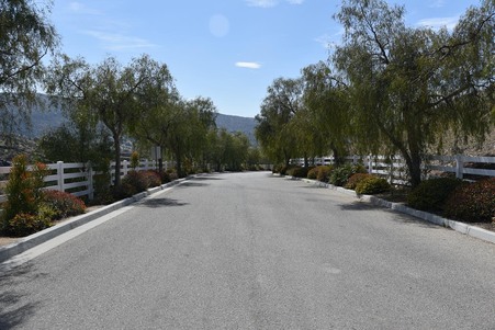 Enlarge photo 37