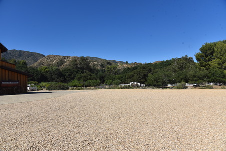 Enlarge photo 169