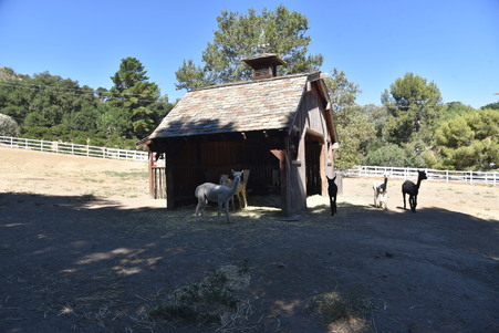 Enlarge photo 178