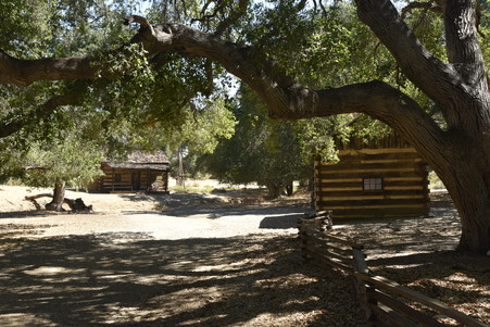 Enlarge photo 81