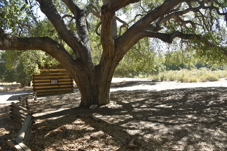 Enlarge photo 80