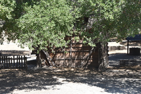 Enlarge photo 83