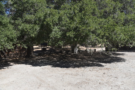 Enlarge photo 84