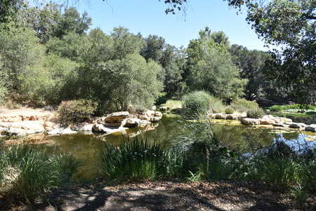 Enlarge photo 93