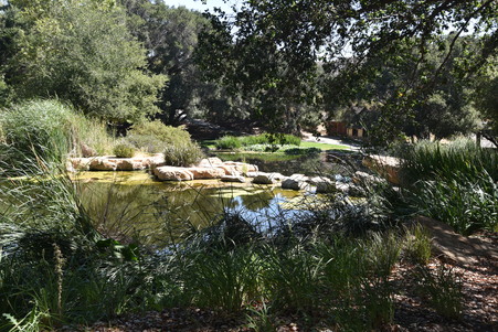 Enlarge photo 94
