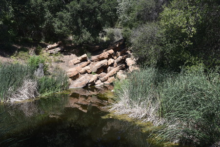 Enlarge photo 96