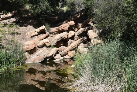Enlarge photo 97