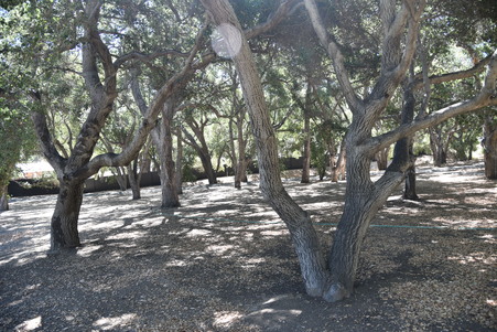 Enlarge photo 102