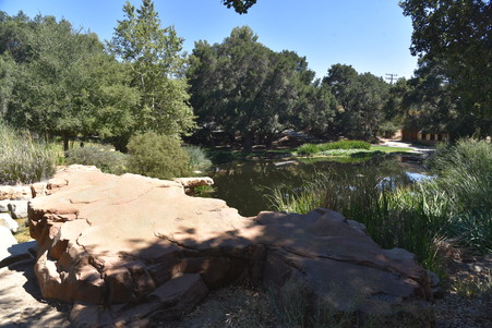 Enlarge photo 103