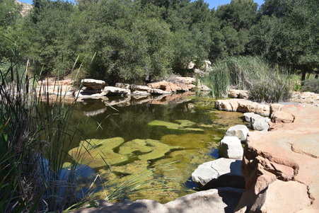 Enlarge photo 104