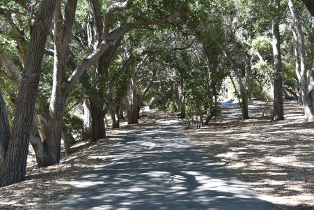 Enlarge photo 109
