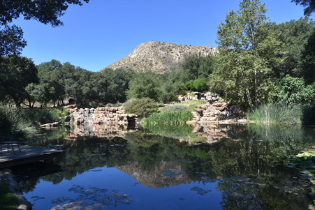 Enlarge photo 111