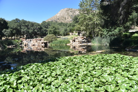 Enlarge photo 113