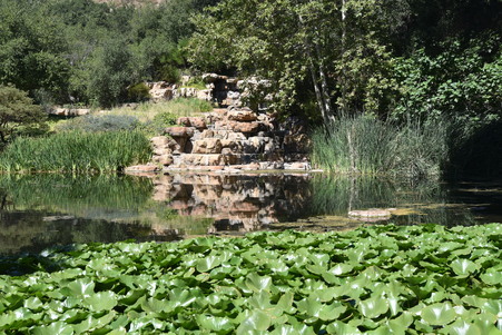 Enlarge photo 114
