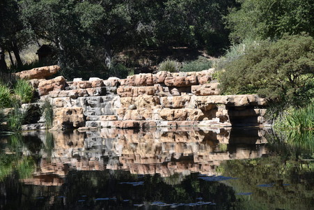 Enlarge photo 115