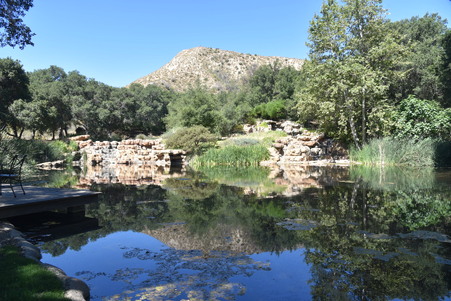 Enlarge photo 117