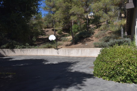 Enlarge photo 124
