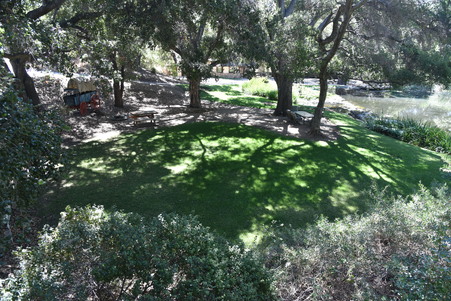 Enlarge photo 137