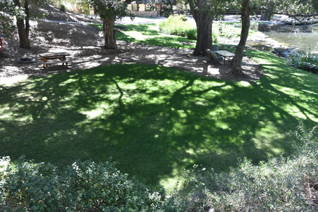 Enlarge photo 138