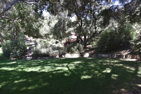 Enlarge photo 139