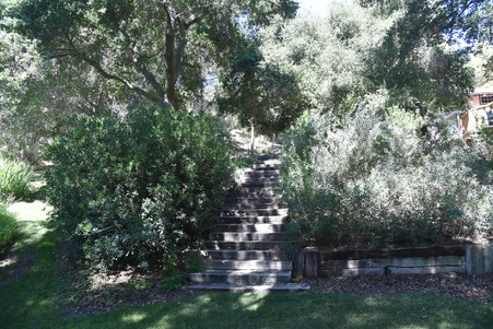 Enlarge photo 141