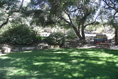 Enlarge photo 143