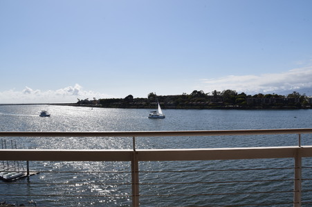 Enlarge photo 95