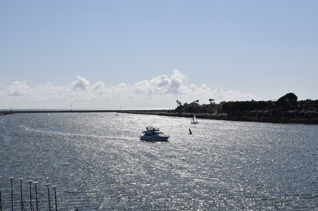 Enlarge photo 93