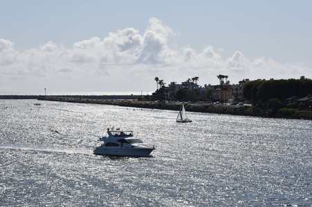Enlarge photo 92