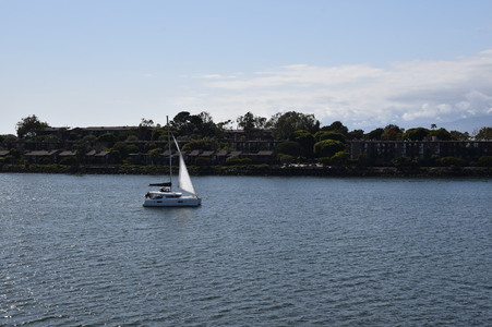 Enlarge photo 91