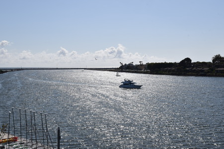 Enlarge photo 90