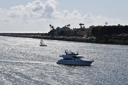 Enlarge photo 89