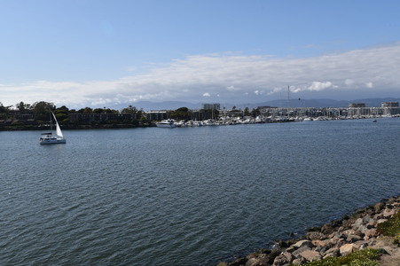 Enlarge photo 88
