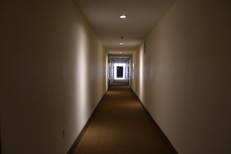 Enlarge photo 81