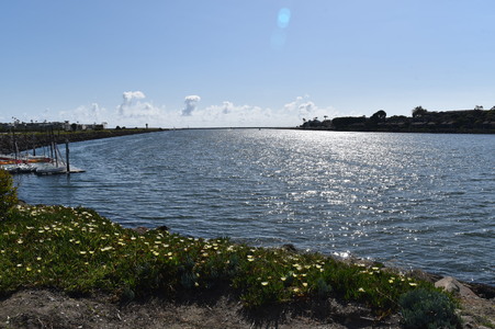 Enlarge photo 64