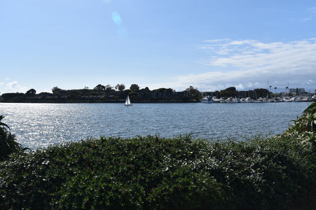 Enlarge photo 61