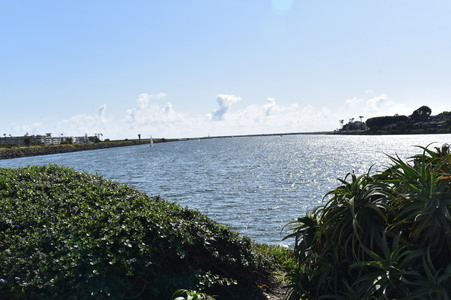 Enlarge photo 58