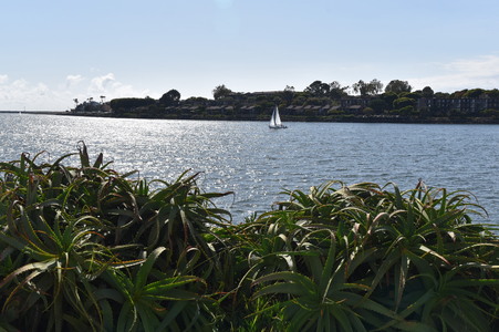 Enlarge photo 57