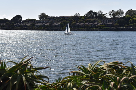 Enlarge photo 56