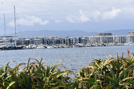 Enlarge photo 55