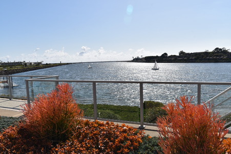 Enlarge photo 54
