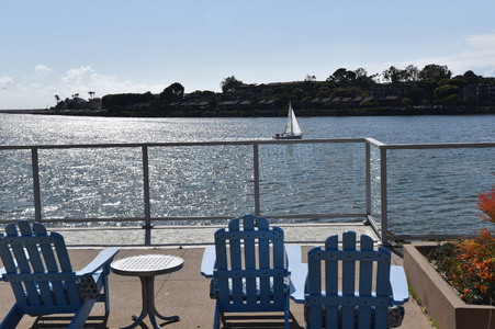 Enlarge photo 52