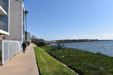 Enlarge photo 39