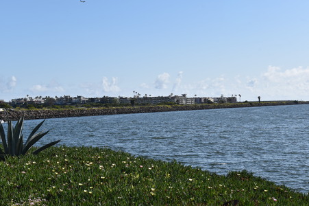 Enlarge photo 38