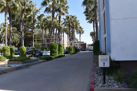 Enlarge photo 31