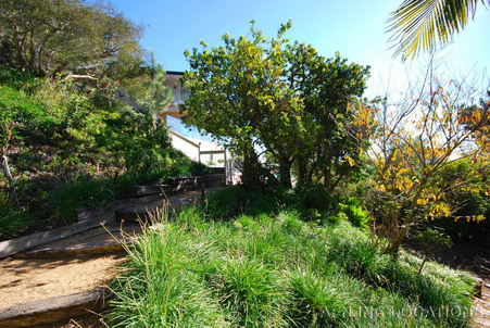 Enlarge photo 63