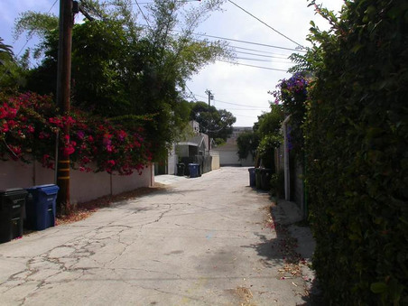 Enlarge photo 62