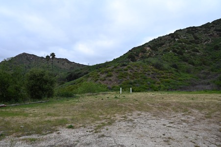 Enlarge photo 95