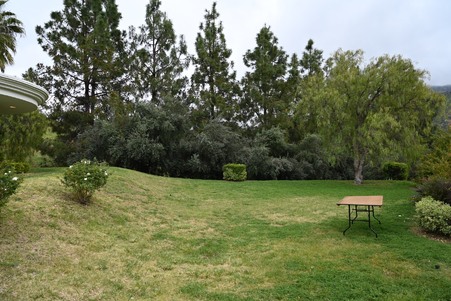 Enlarge photo 104